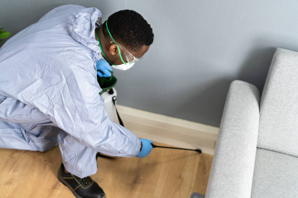 Best Bed Bug Extermination  in Northampton, PA